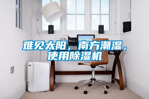 難見太陽,南方潮濕,使用除濕機(jī)