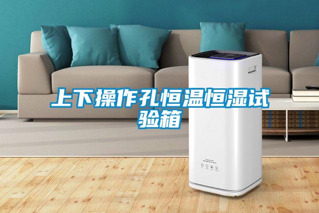 上下操作孔恒溫恒濕試驗(yàn)箱