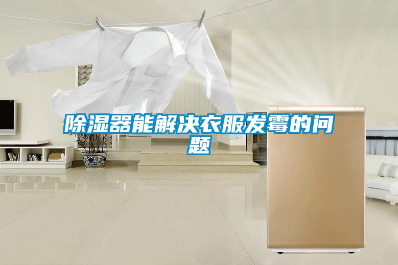 除濕器能解決衣服發(fā)霉的問(wèn)題