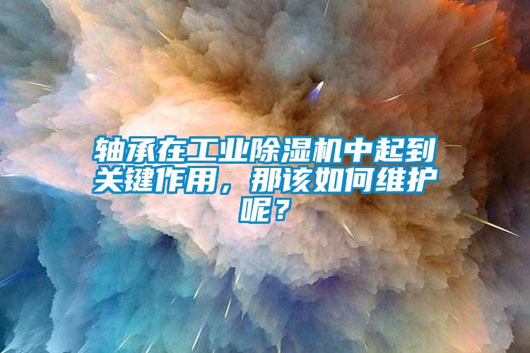 軸承在工業除濕機中起到關鍵作用，那該如何維護呢？