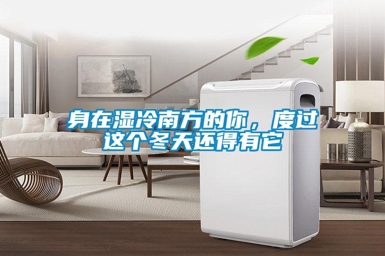 身在濕冷南方的你，度過這個冬天還得有它
