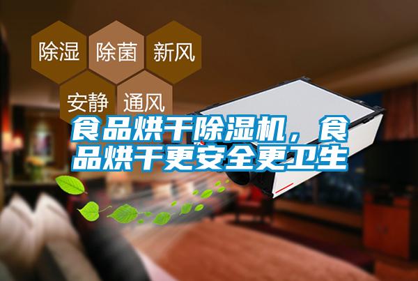 食品烘干除濕機，食品烘干更安全更衛生