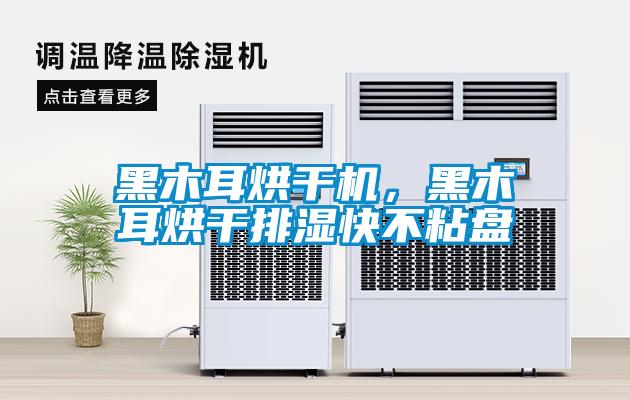 黑木耳烘干機，黑木耳烘干排濕快不粘盤
