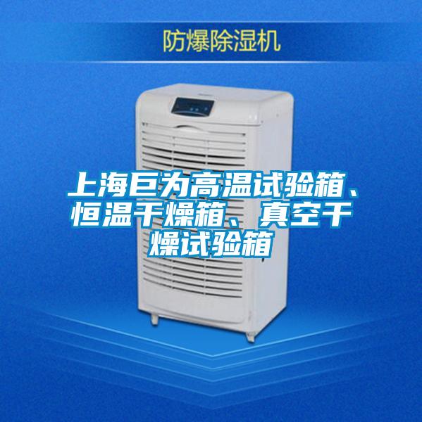 上海巨為高溫試驗箱、恒溫干燥箱、真空干燥試驗箱