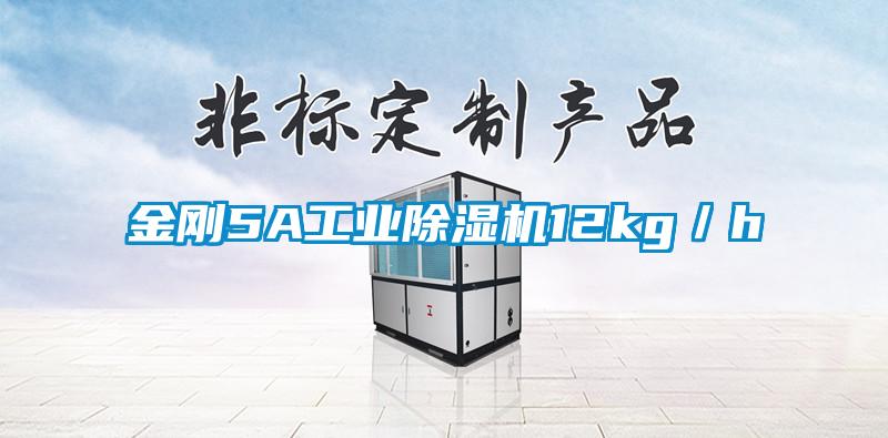 金剛5A工業(yè)除濕機(jī)12kg/h