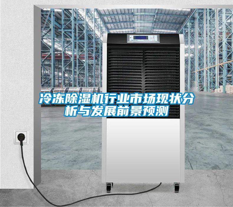 冷凍除濕機行業(yè)市場現(xiàn)狀分析與發(fā)展前景預測
