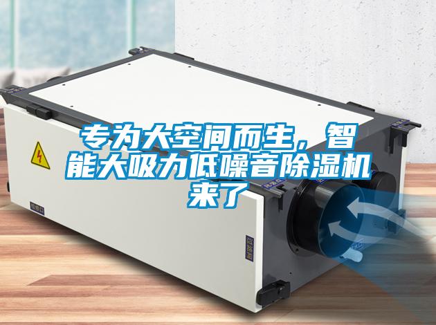 專為大空間而生，智能大吸力低噪音除濕機(jī)來了
