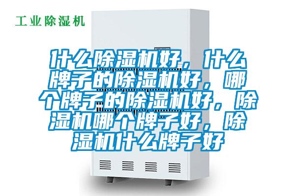 什么除濕機好，什么牌子的除濕機好，哪個牌子的除濕機好，除濕機哪個牌子好，除濕機什么牌子好
