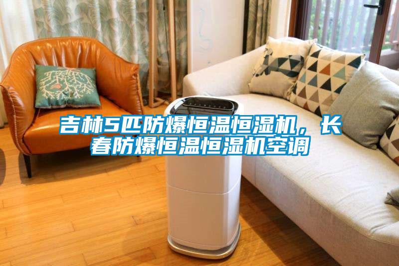 吉林5匹防爆恒溫恒濕機(jī),長(zhǎng)春防爆恒溫恒濕機(jī)空調(diào)