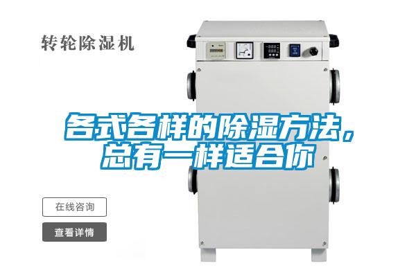 各式各樣的除濕方法，總有一樣適合你