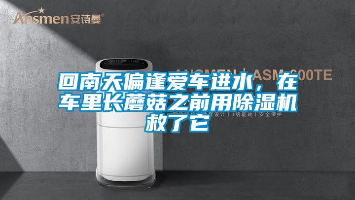 回南天偏逢愛車進(jìn)水，在車?yán)镩L蘑菇之前用除濕機(jī)救了它