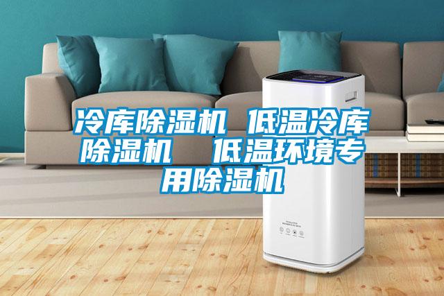 冷庫(kù)除濕機(jī) 低溫冷庫(kù)除濕機(jī) 低溫環(huán)境專用除濕機(jī)