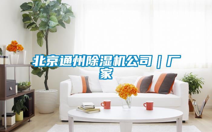 北京通州除濕機(jī)公司|廠家