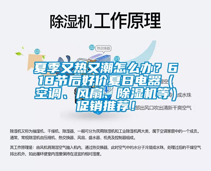 夏季又熱又潮怎么辦？618節(jié)后好價(jià)夏日電器（空調(diào)、風(fēng)扇、除濕機(jī)等）促銷(xiāo)推薦！