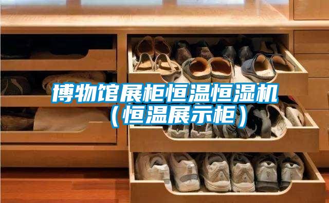 博物館展柜恒溫恒濕機(恒溫展示柜)