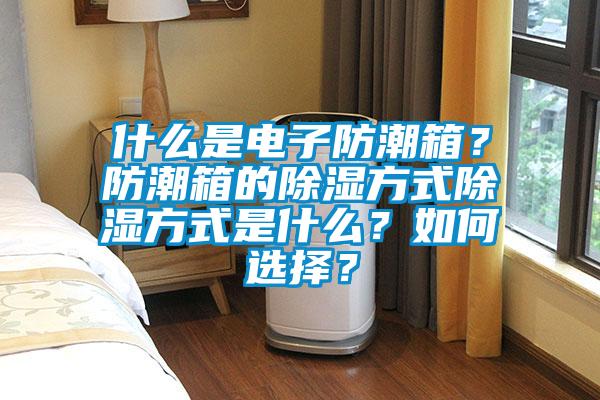 什么是電子防潮箱？防潮箱的除濕方式除濕方式是什么？如何選擇？