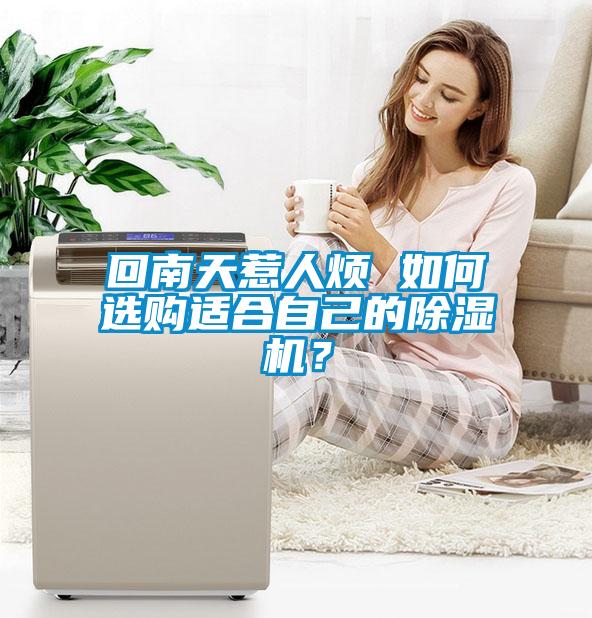 回南天惹人煩 如何選購適合自己的除濕機？