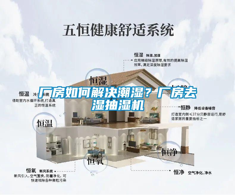 廠房如何解決潮濕？廠房去濕抽濕機