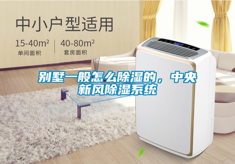 別墅一般怎么除濕的,中央新風除濕系統