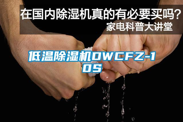 低溫除濕機DWCFZ-10S