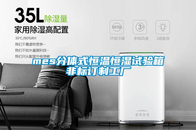 mes分體式恒溫恒濕試驗(yàn)箱非標(biāo)訂制工廠