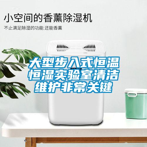 大型步入式恒溫恒濕實驗室清潔維護(hù)非常關(guān)鍵