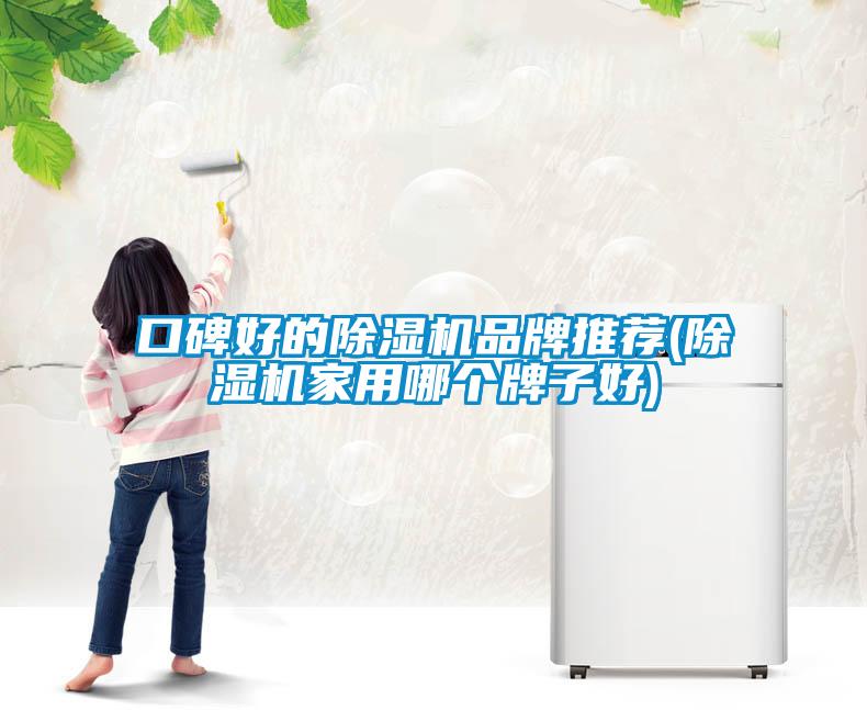 口碑好的除濕機(jī)品牌推薦(除濕機(jī)家用哪個(gè)牌子好)