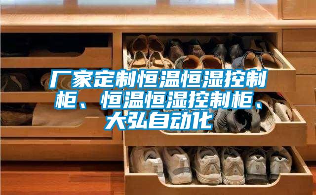 廠家定制恒溫恒濕控制柜、恒溫恒濕控制柜、大弘自動化