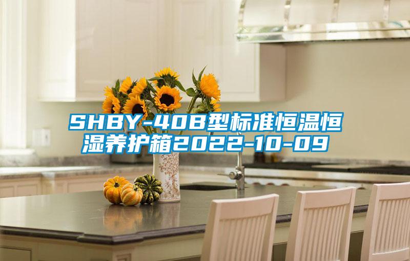 SHBY-40B型標(biāo)準(zhǔn)恒溫恒濕養(yǎng)護箱2022-10-09