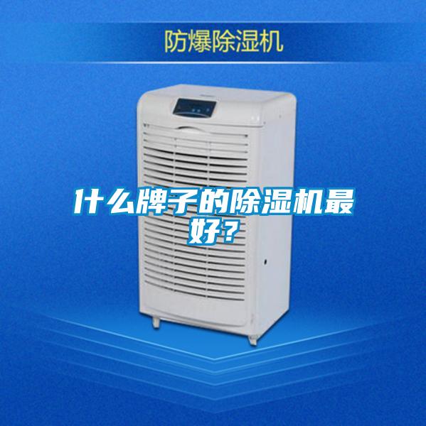 什么牌子的除濕機最好？