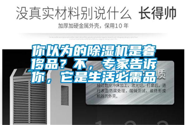 你以為的除濕機(jī)是奢侈品？不，專家告訴你，它是生活必需品