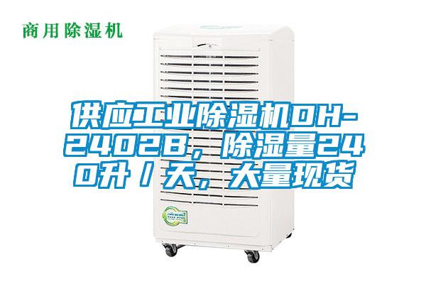 供應(yīng)工業(yè)除濕機(jī)DH-2402B，除濕量240升／天，大量現(xiàn)貨