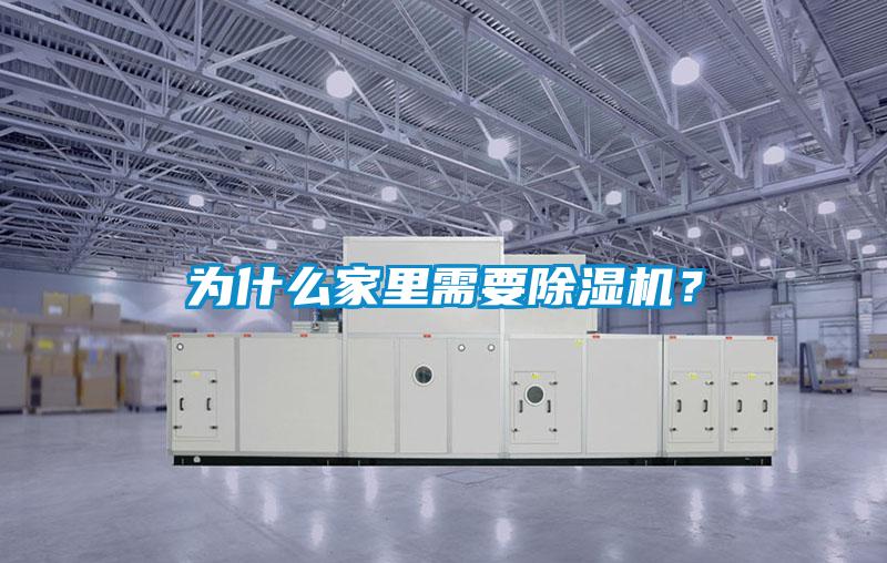 為什么家里需要除濕機?