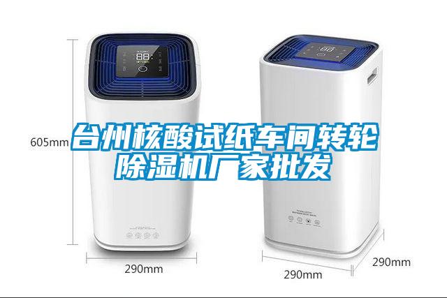 臺州核酸試紙車間轉(zhuǎn)輪除濕機廠家批發(fā)