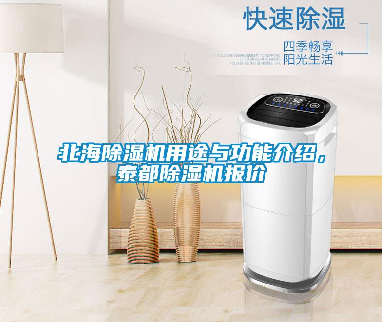 北海除濕機用途與功能介紹，泰都除濕機報價