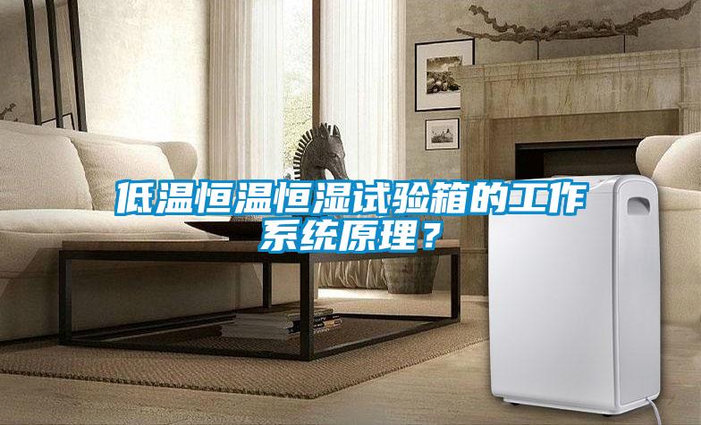 低溫恒溫恒濕試驗箱的工作系統原理？