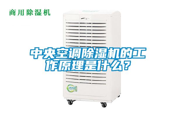 中央空調除濕機的工作原理是什么？