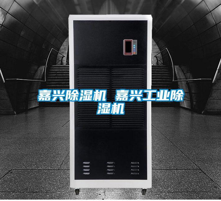 嘉興除濕機 嘉興工業(yè)除濕機
