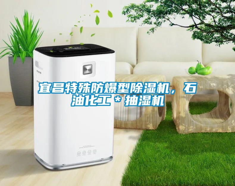 宜昌特殊防爆型除濕機，石油化工＊抽濕機