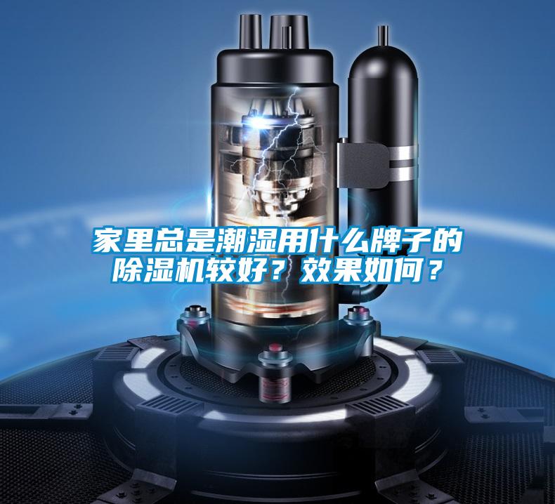 家里總是潮濕用什么牌子的除濕機較好？效果如何？