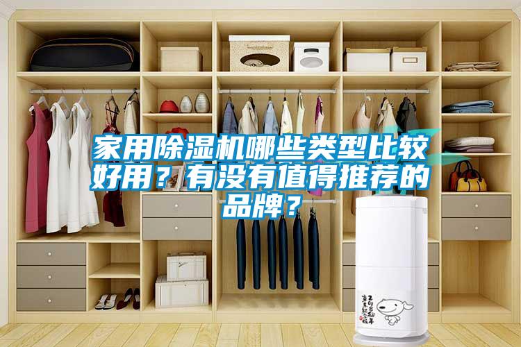 家用除濕機哪些類型比較好用？有沒有值得推薦的品牌？