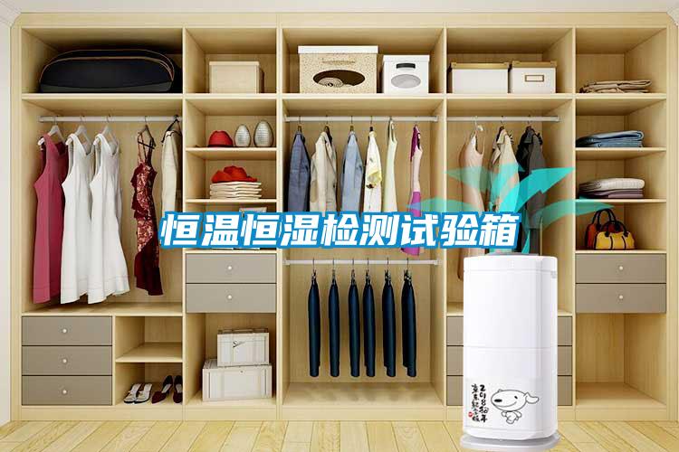 恒溫恒濕檢測試驗(yàn)箱
