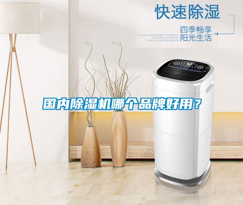 國內(nèi)除濕機(jī)哪個品牌好用？
