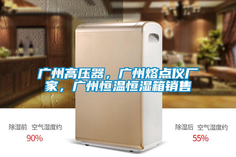 廣州高壓器，廣州熔點儀廠家，廣州恒溫恒濕箱銷售