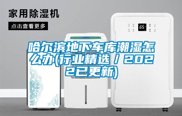 哈爾濱地下車庫潮濕怎么辦(行業(yè)精選/2022已更新)