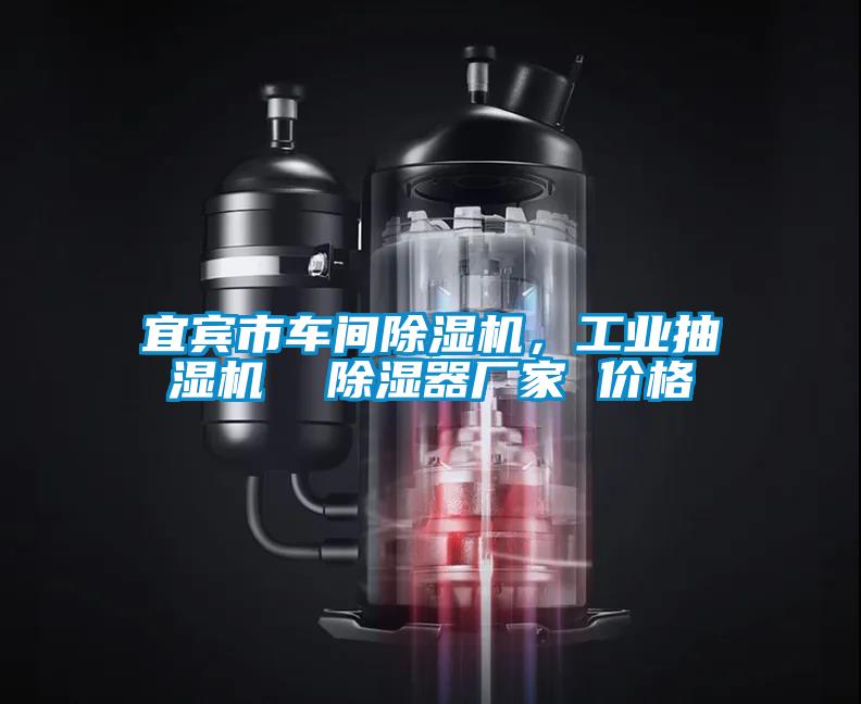 宜賓市車間除濕機，工業抽濕機  除濕器廠家 價格
