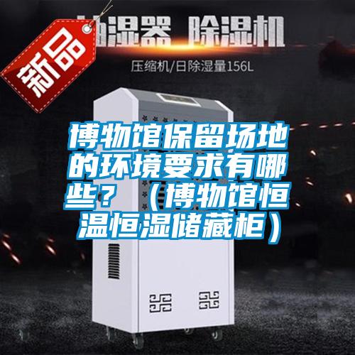 博物館保留場地的環境要求有哪些？（博物館恒溫恒濕儲藏柜）