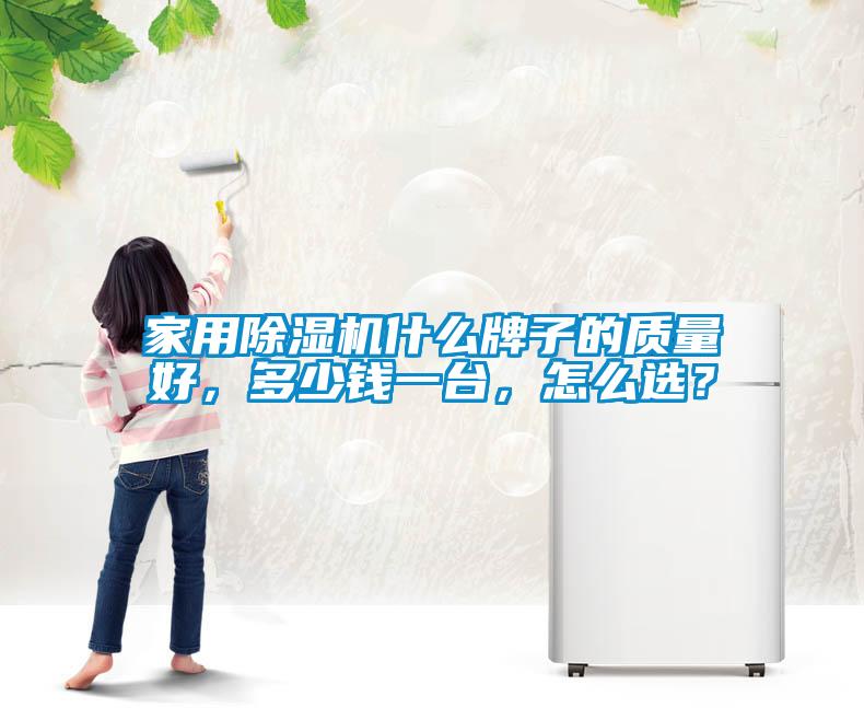 家用除濕機什么牌子的質量好，多少錢一臺，怎么選？