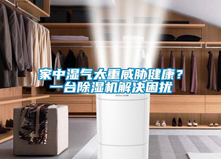 家中濕氣太重威脅健康？一臺除濕機解決困擾