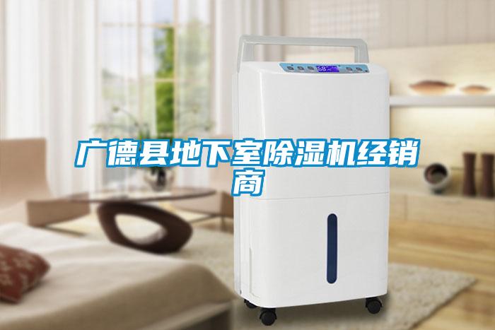 廣德縣地下室除濕機(jī)經(jīng)銷(xiāo)商